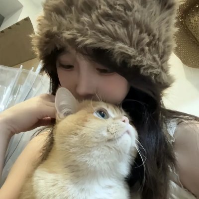 公仔炼金术 在线观看